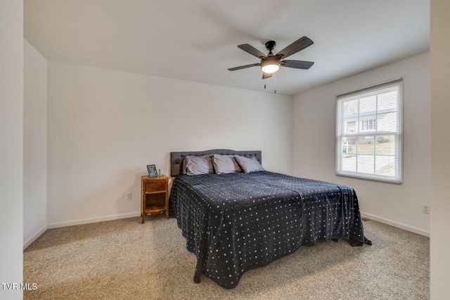 227 Mountain View Drive, Mount Carmel, TN 37645