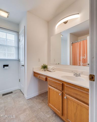 227 Mountain View Drive, Mount Carmel, TN 37645