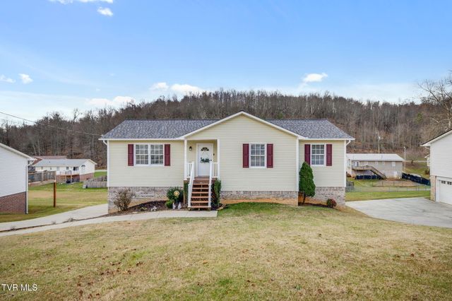 227 Mountain View Drive, Mount Carmel, TN 37645