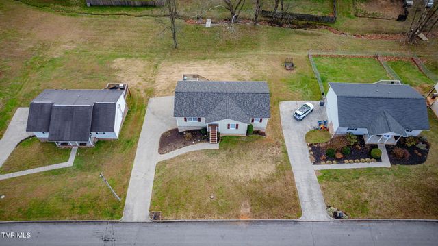 227 Mountain View Drive, Mount Carmel, TN 37645