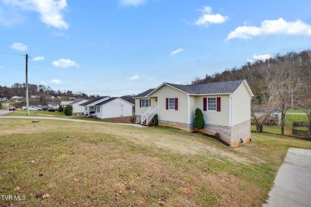 227 Mountain View Drive, Mount Carmel, TN 37645