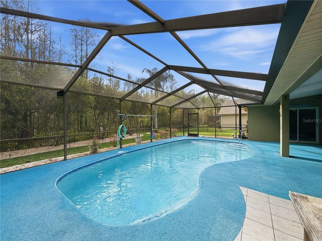 1031 MARAVISTA DRIVE, Trinity, FL 34655