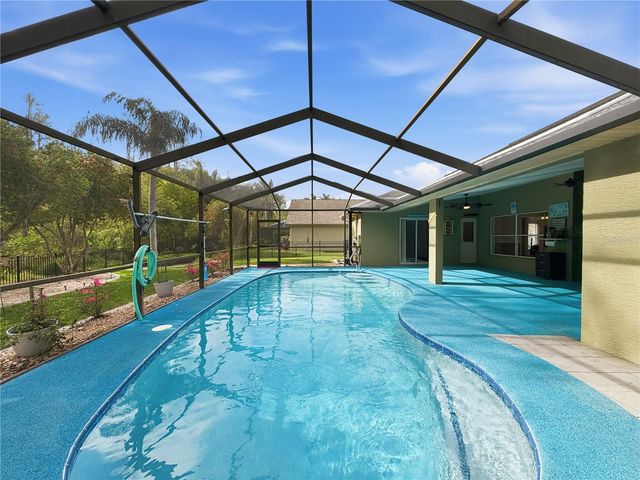 1031 MARAVISTA DRIVE, Trinity, FL 34655