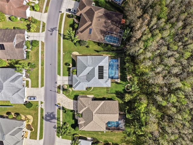 1031 MARAVISTA DRIVE, Trinity, FL 34655