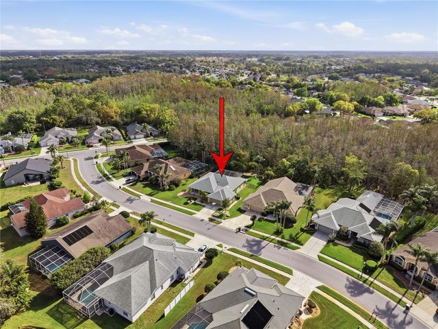 1031 MARAVISTA DRIVE, Trinity, FL 34655