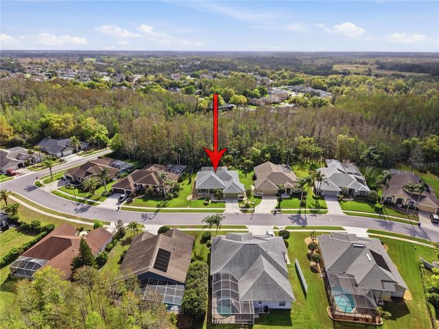 1031 MARAVISTA DRIVE, Trinity, FL 34655