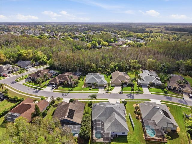 1031 MARAVISTA DRIVE, Trinity, FL 34655