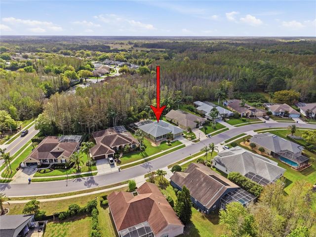 1031 MARAVISTA DRIVE, Trinity, FL 34655