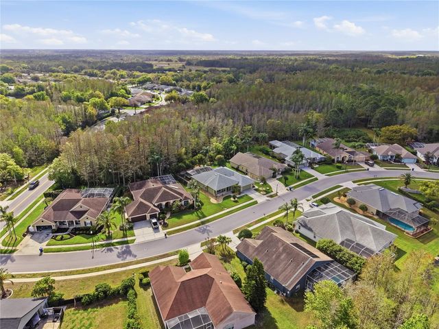 1031 MARAVISTA DRIVE, Trinity, FL 34655