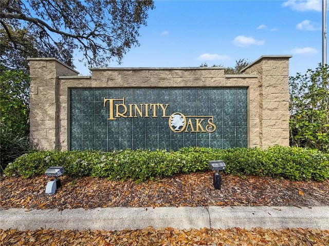 1031 MARAVISTA DRIVE, Trinity, FL 34655