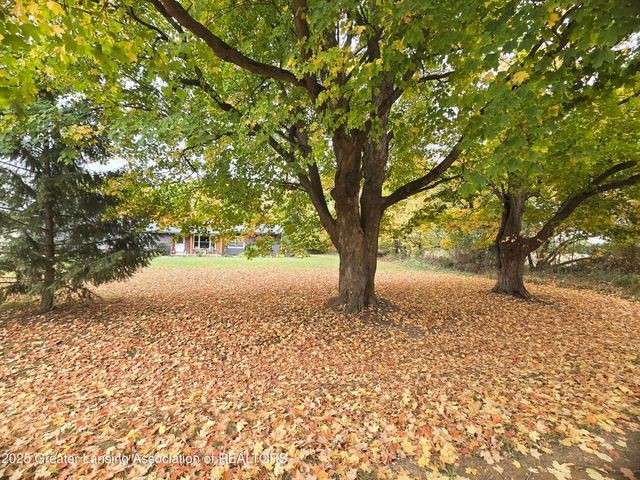 7694 N Meridian Road, Elsie, MI 48831