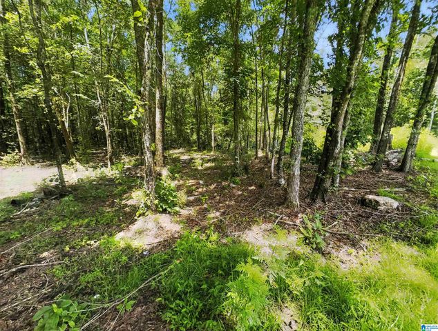 1863 OLD MARGARET ROAD, Odenville, AL 35120