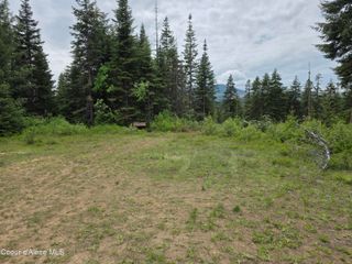 125 Cottage Lane, St. Maries, ID 83861