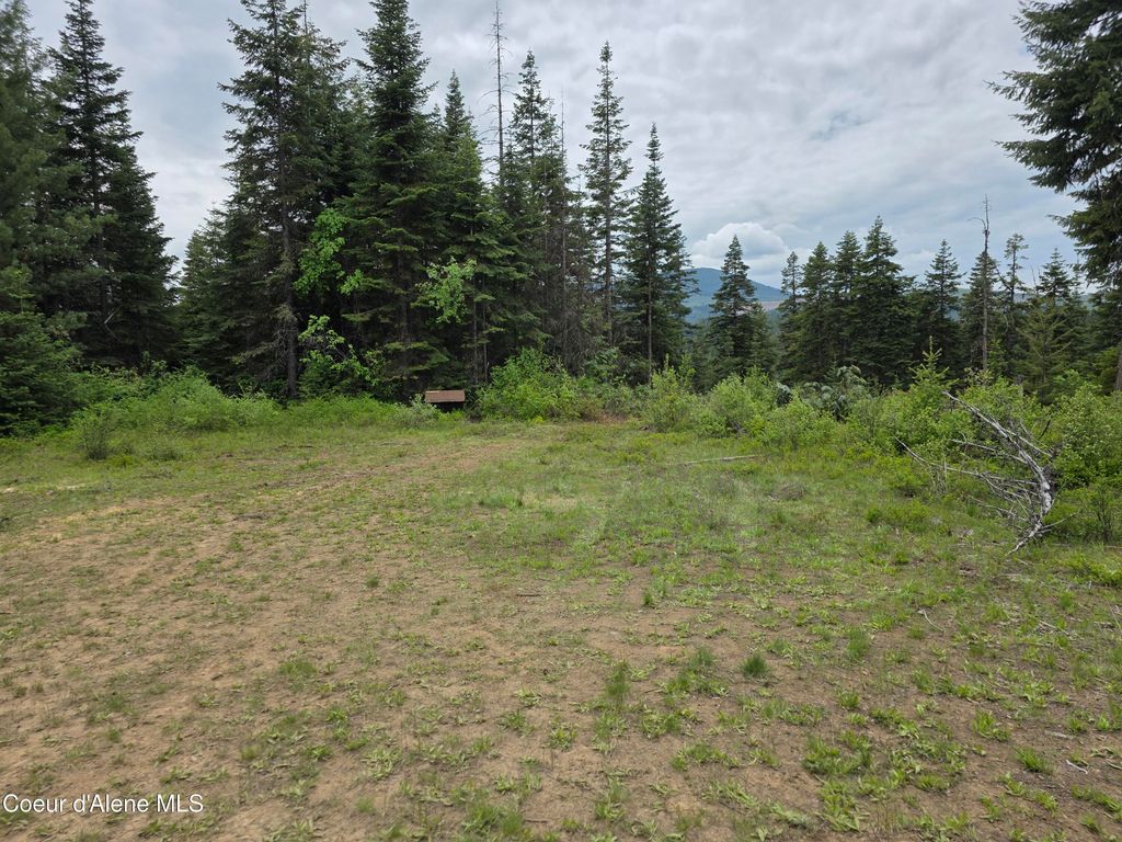 125 Cottage Lane, St. Maries, ID 83861