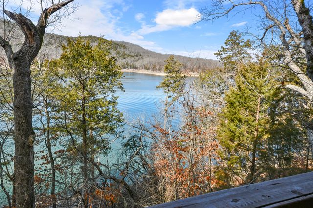 499 Turkey Tree Road, Galena, MO 65656