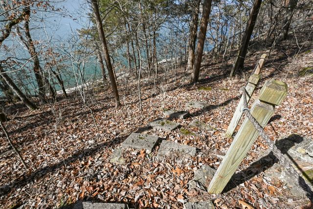 499 Turkey Tree Road, Galena, MO 65656