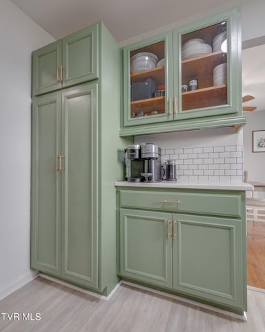 123 Village Lane, Gray, TN 37615