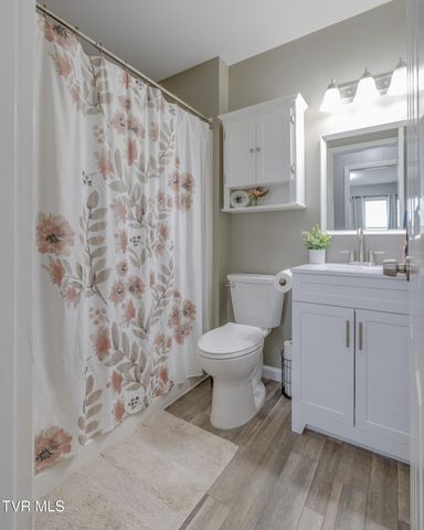 123 Village Lane, Gray, TN 37615