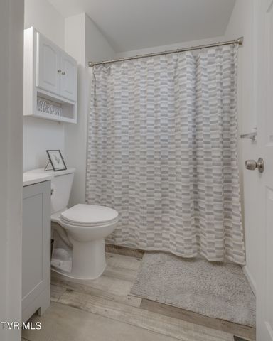 123 Village Lane, Gray, TN 37615