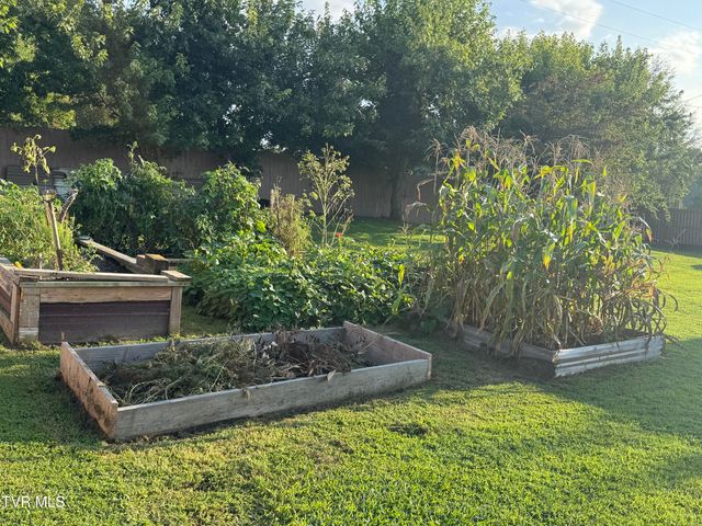 225 Shaw Road, Chuckey, TN 37641