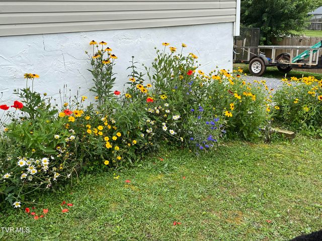 225 Shaw Road, Chuckey, TN 37641