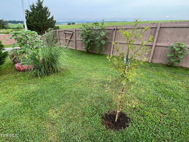 225 Shaw Road, Chuckey, TN 37641