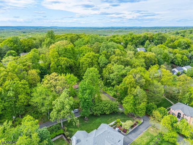 50 Mountain Ave, Chatham Twp., NJ 07928