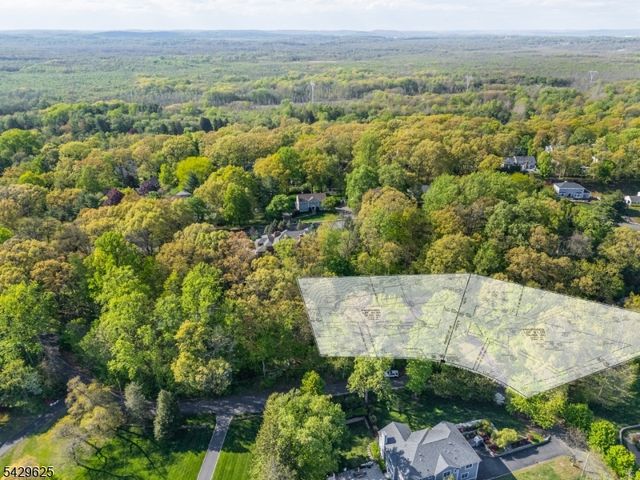 50 Mountain Ave, Chatham Twp., NJ 07928