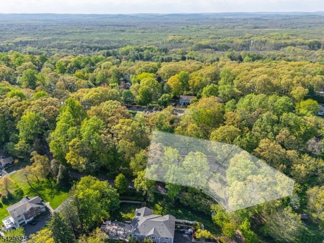 50 Mountain Ave, Chatham Twp., NJ 07928