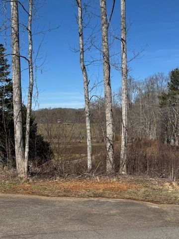 1 & 1A Sneaking Creek Drive, Hayesville, NC 28904