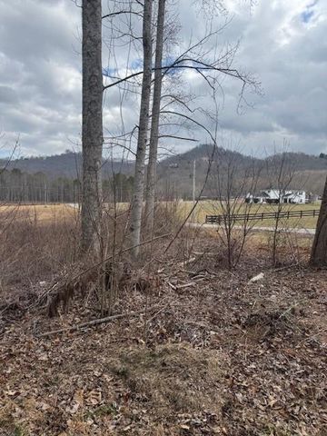 1 & 1A Sneaking Creek Drive, Hayesville, NC 28904