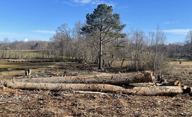 1 & 1A Sneaking Creek Drive, Hayesville, NC 28904