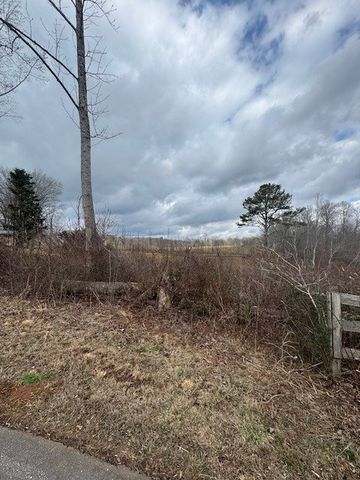 1 & 1A Sneaking Creek Drive, Hayesville, NC 28904