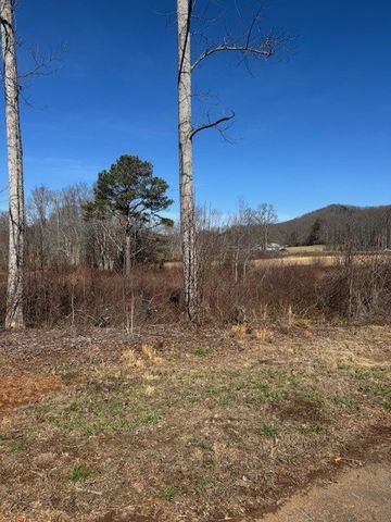 1 & 1A Sneaking Creek Drive, Hayesville, NC 28904