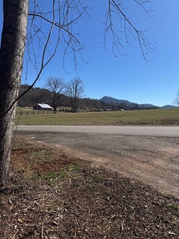 1 & 1A Sneaking Creek Drive, Hayesville, NC 28904