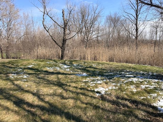 22503 S State Street, Steger, IL 60475