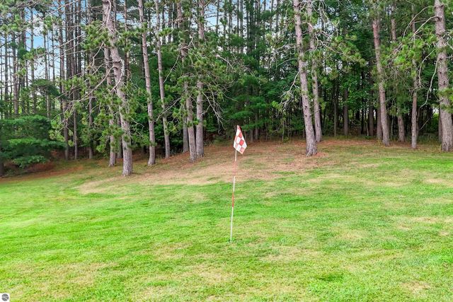 16186 N 200th Avenue, Leroy, MI 49655