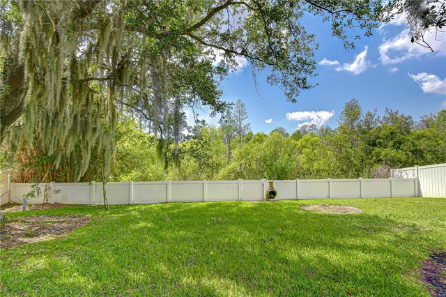 1535 STIPULE COURT, Trinity, FL 34655