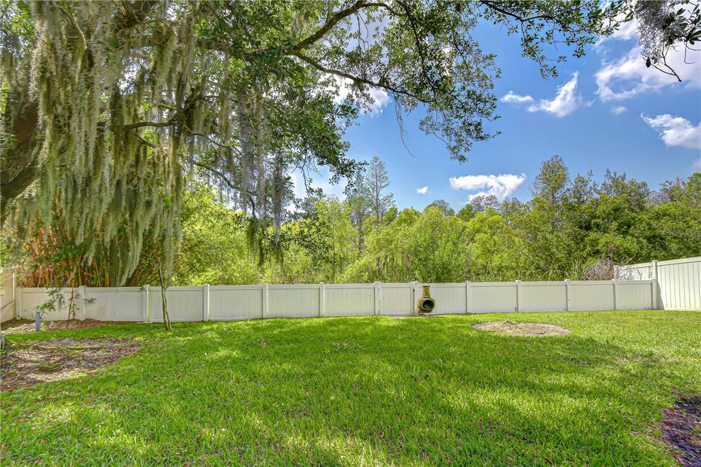 Image 29 of property listing at 1535 STIPULE COURT, Trinity, FL 34655