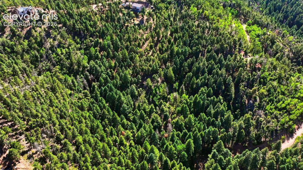 13464 S Firedog Way, Larkspur, CO 80118 — photo 3