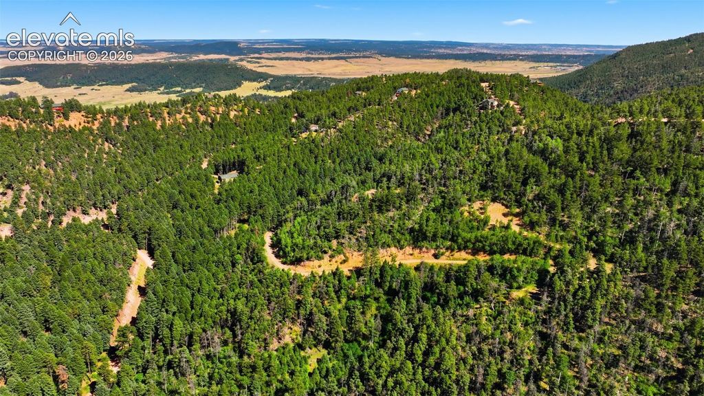 13464 S Firedog Way, Larkspur, CO 80118 — photo 4