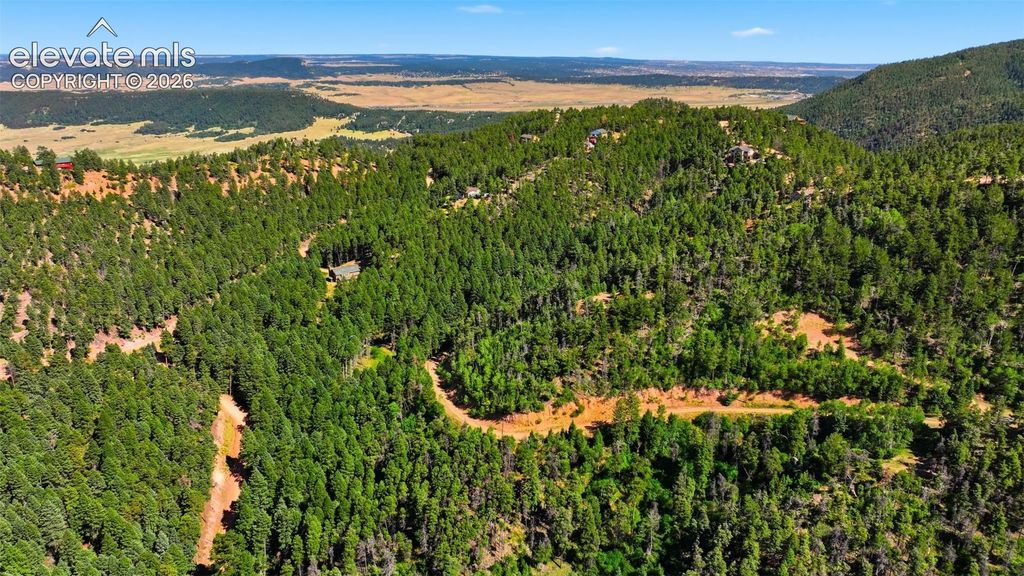 13464 S Firedog Way, Larkspur, CO 80118 — photo 5