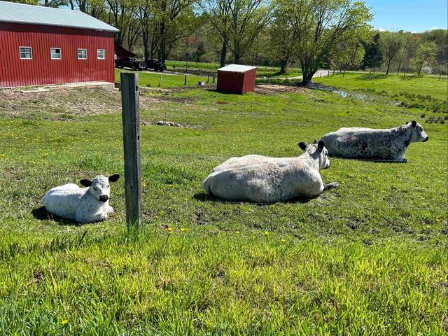 7550 Townline Road, Kingsley, MI 49649