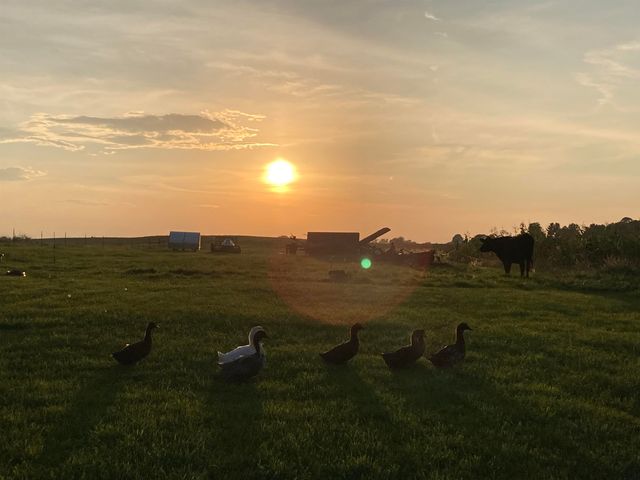 7550 Townline Road, Kingsley, MI 49649