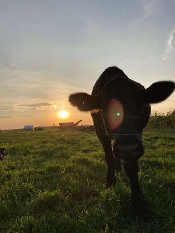 7550 Townline Road, Kingsley, MI 49649