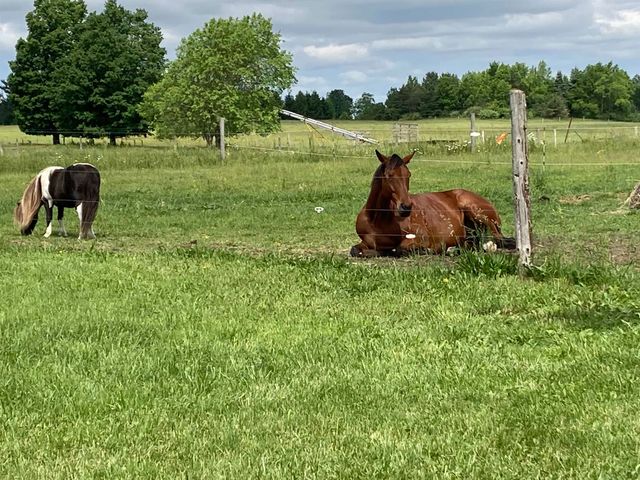 7550 Townline Road, Kingsley, MI 49649