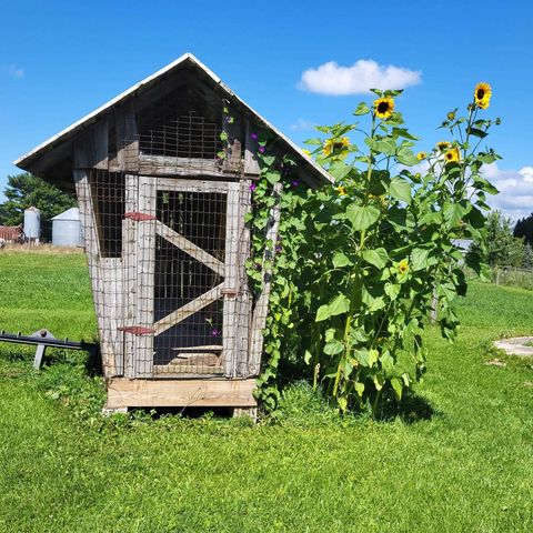 7550 Townline Road, Kingsley, MI 49649