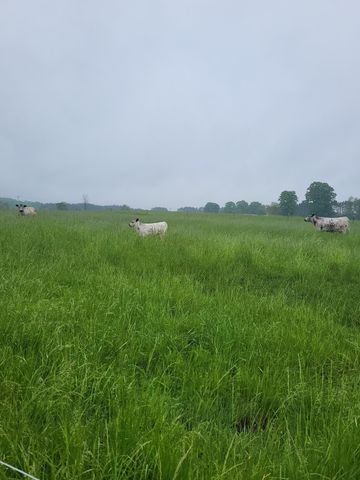 7550 Townline Road, Kingsley, MI 49649