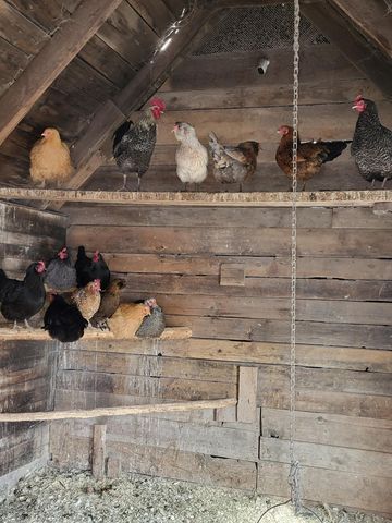 7550 Townline Road, Kingsley, MI 49649