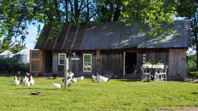 7550 Townline Road, Kingsley, MI 49649